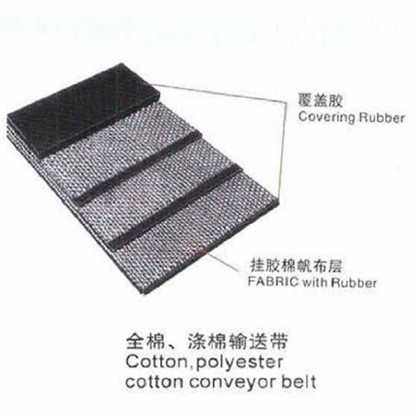 Cotton CC Conveyor Belts